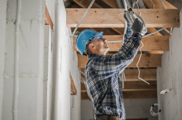 Best Electrical Wiring Services  in Frankenmuth, MI