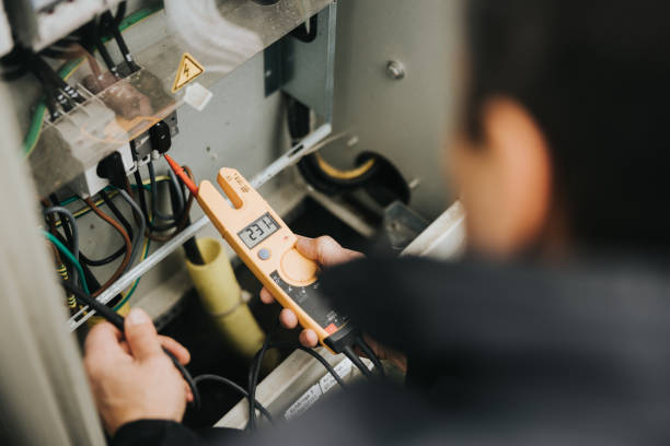 Best Affordable Electrician  in Frankenmuth, MI