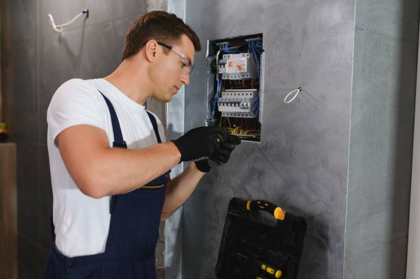 Best Electric Panel Repair  in Frankenmuth, MI