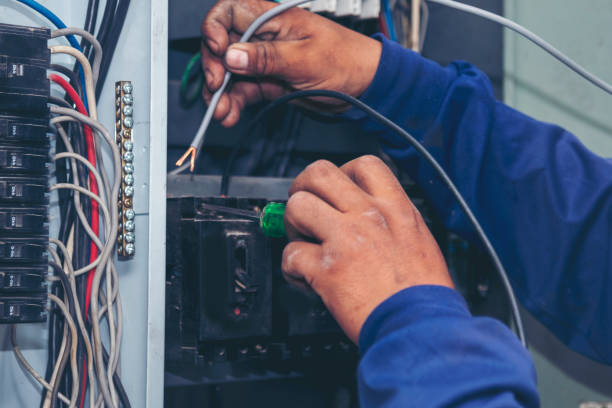 Best Electrical System Inspection  in Frankenmuth, MI