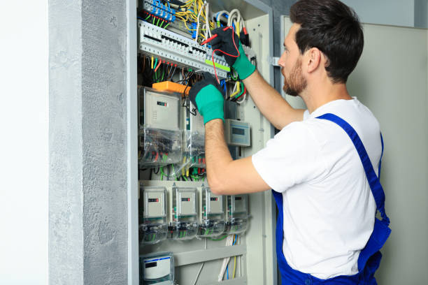 Best Home Electrical Repair  in Frankenmuth, MI