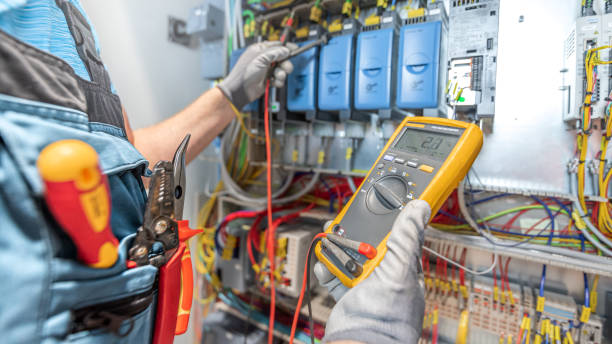 Best Local Electrician Companies  in Frankenmuth, MI