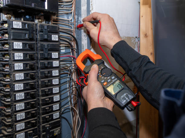 Best 24-Hour Electrician  in Frankenmuth, MI